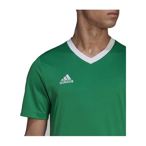 adidas trikot grün blau|adidas Trikots günstig online kaufen .